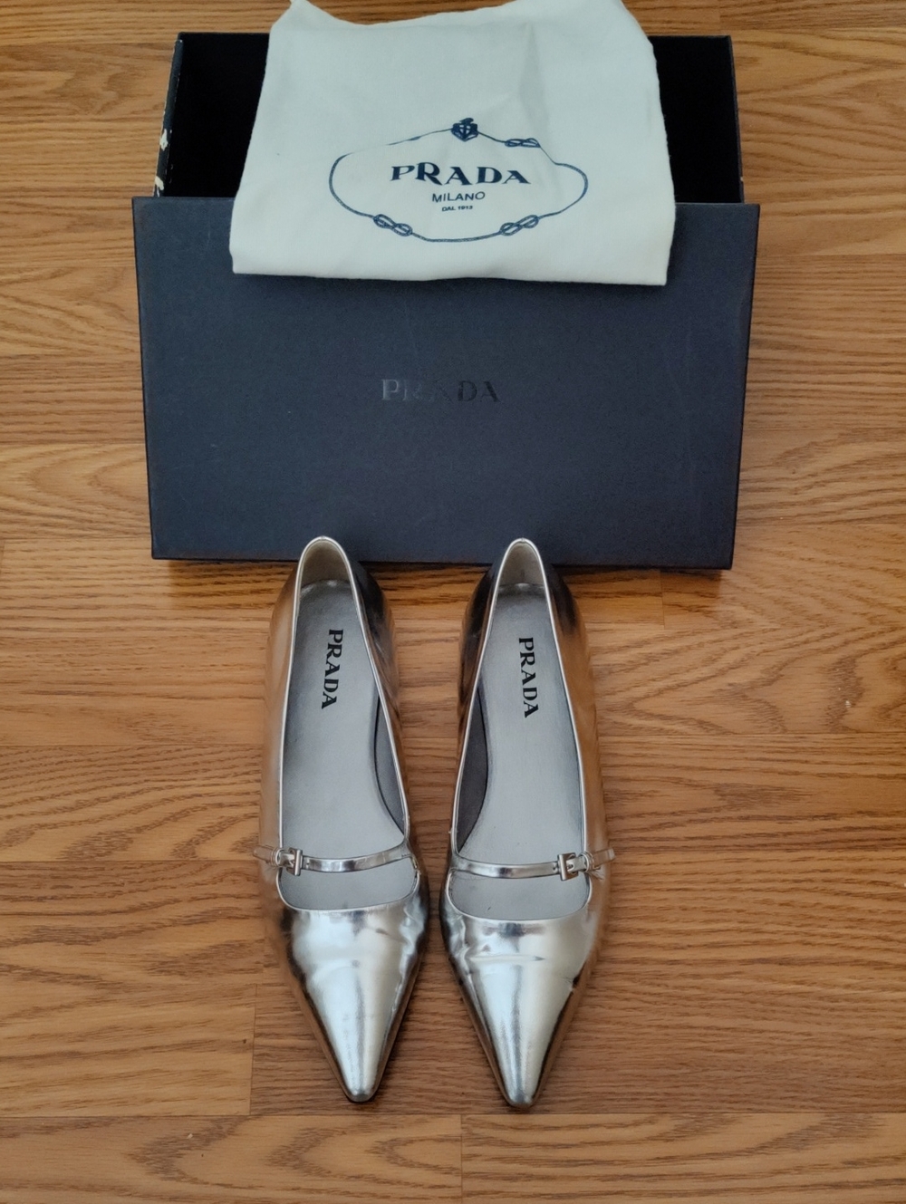 Prada - Gorgeous Metallic Silver Pointed Flats